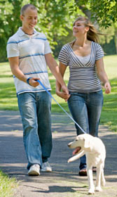 Couple briskly walking the dog gets exercise and weight loss